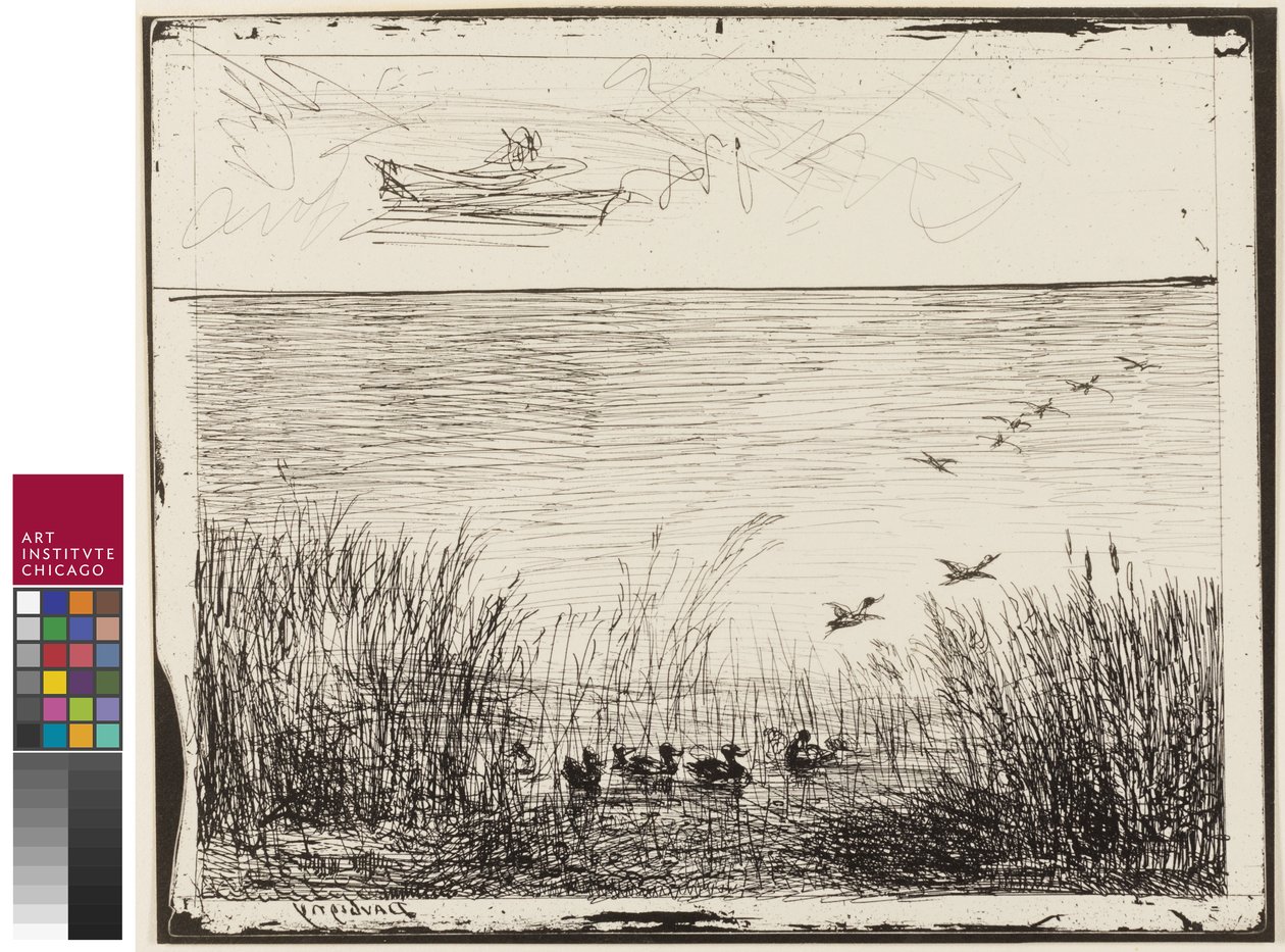 Myr med ender, 1862 av Charles Francois Daubigny