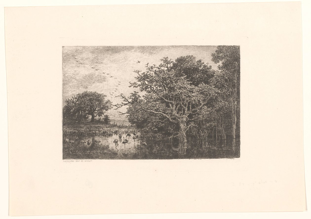 Moeras møtte ooievaars Storkemyra av Charles Francois Daubigny