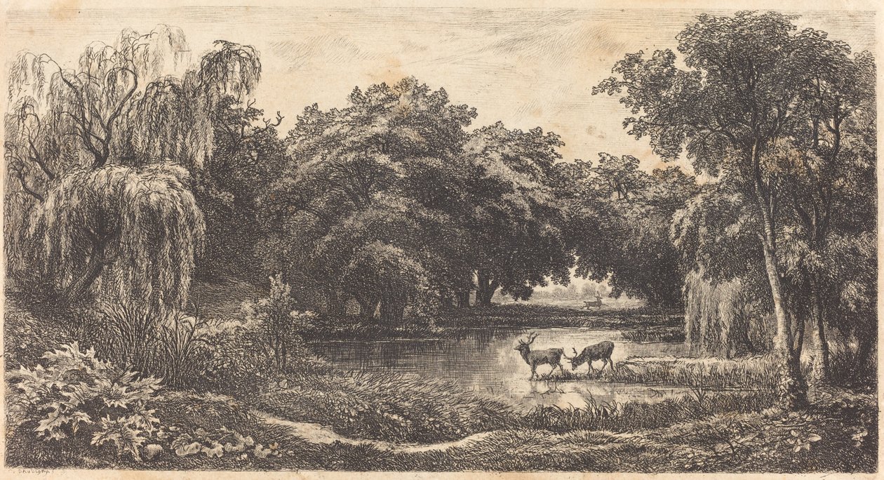 Basseng med hjort av Charles Francois Daubigny