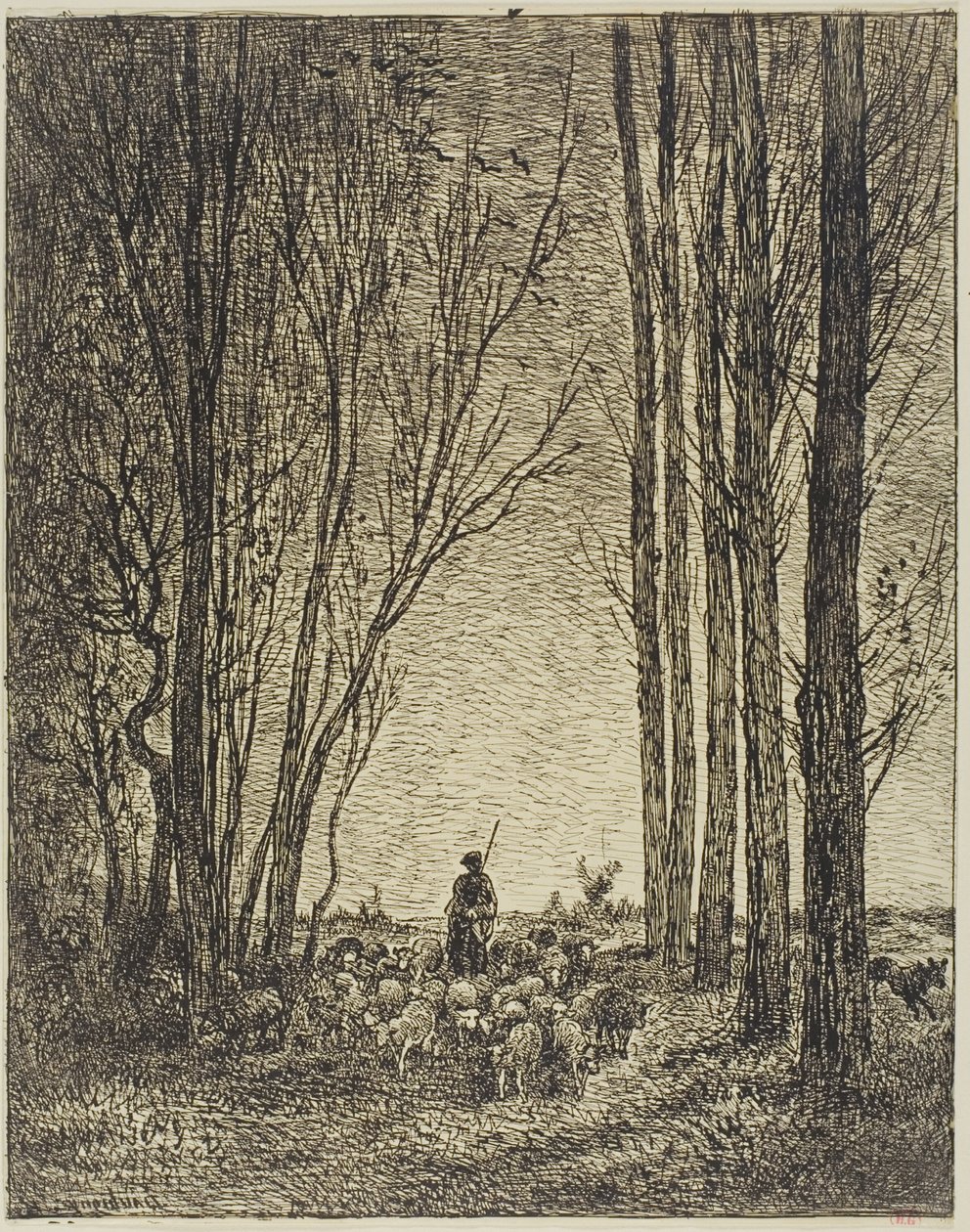 Flokkens retur av Charles Francois Daubigny