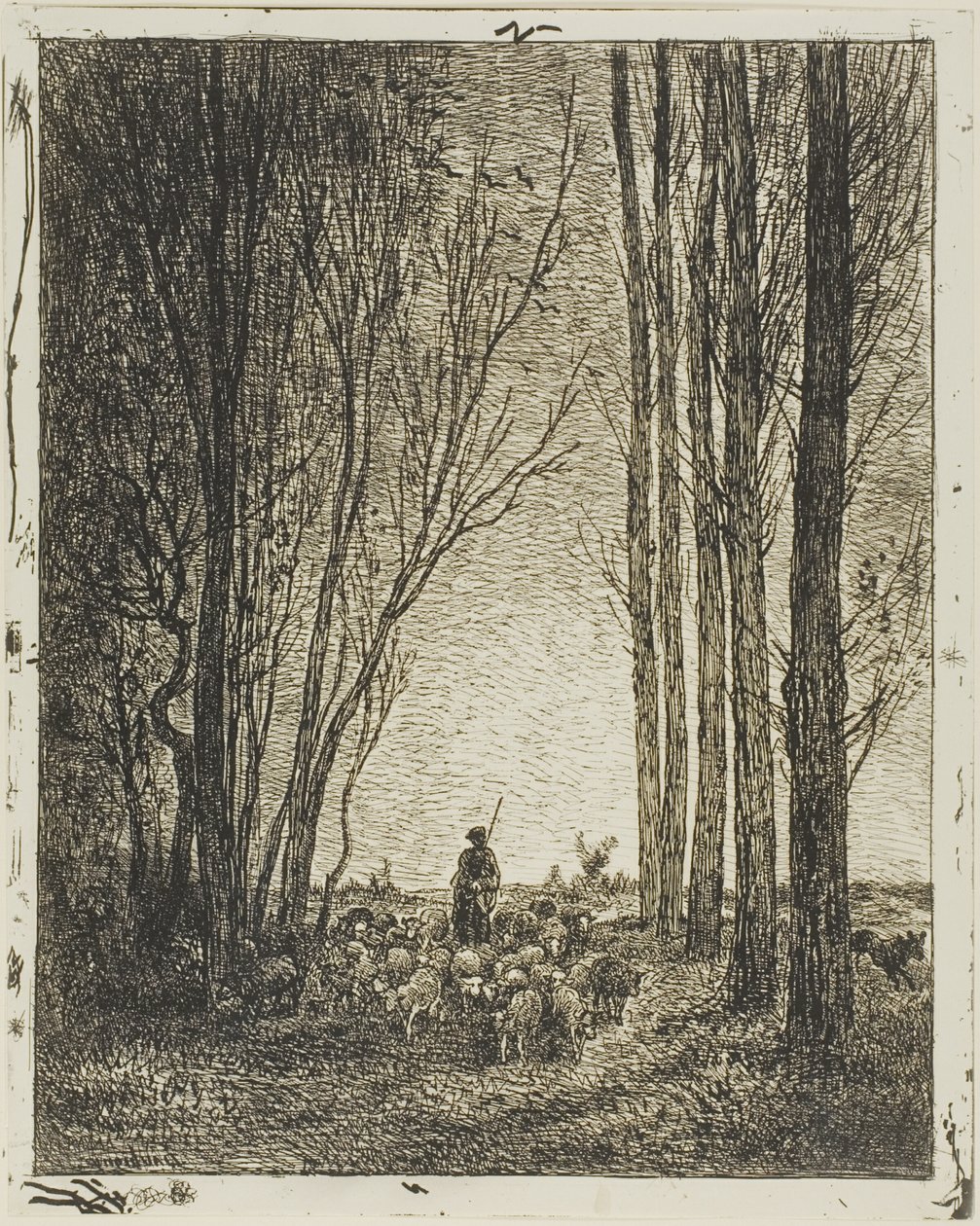 Flokkens retur av Charles Francois Daubigny