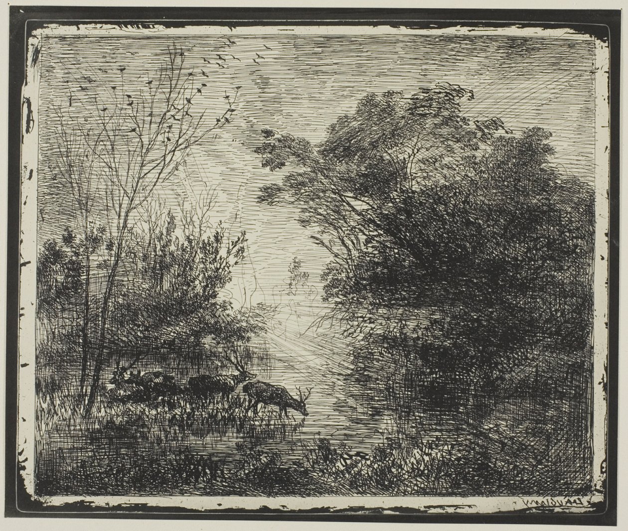 Hjorter av Charles Francois Daubigny