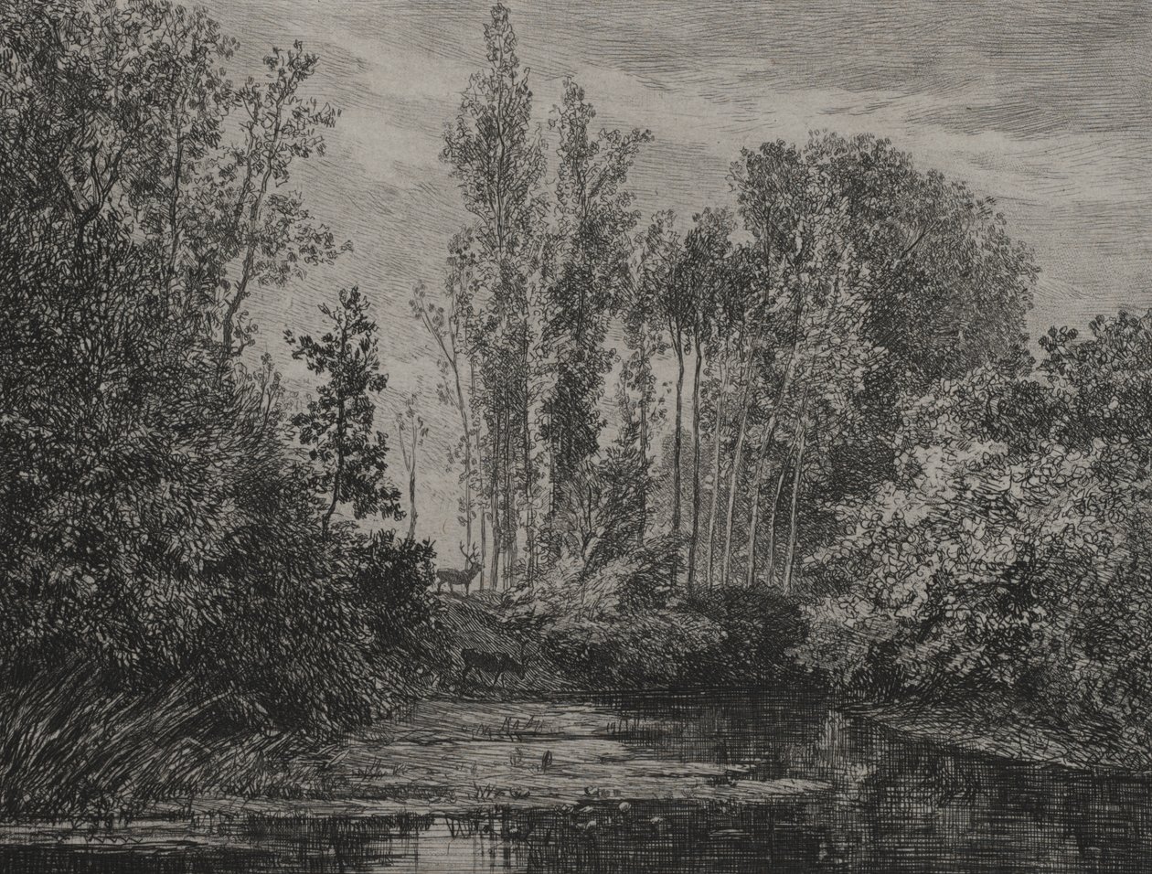 Hjorter i vannkanten av Charles Francois Daubigny