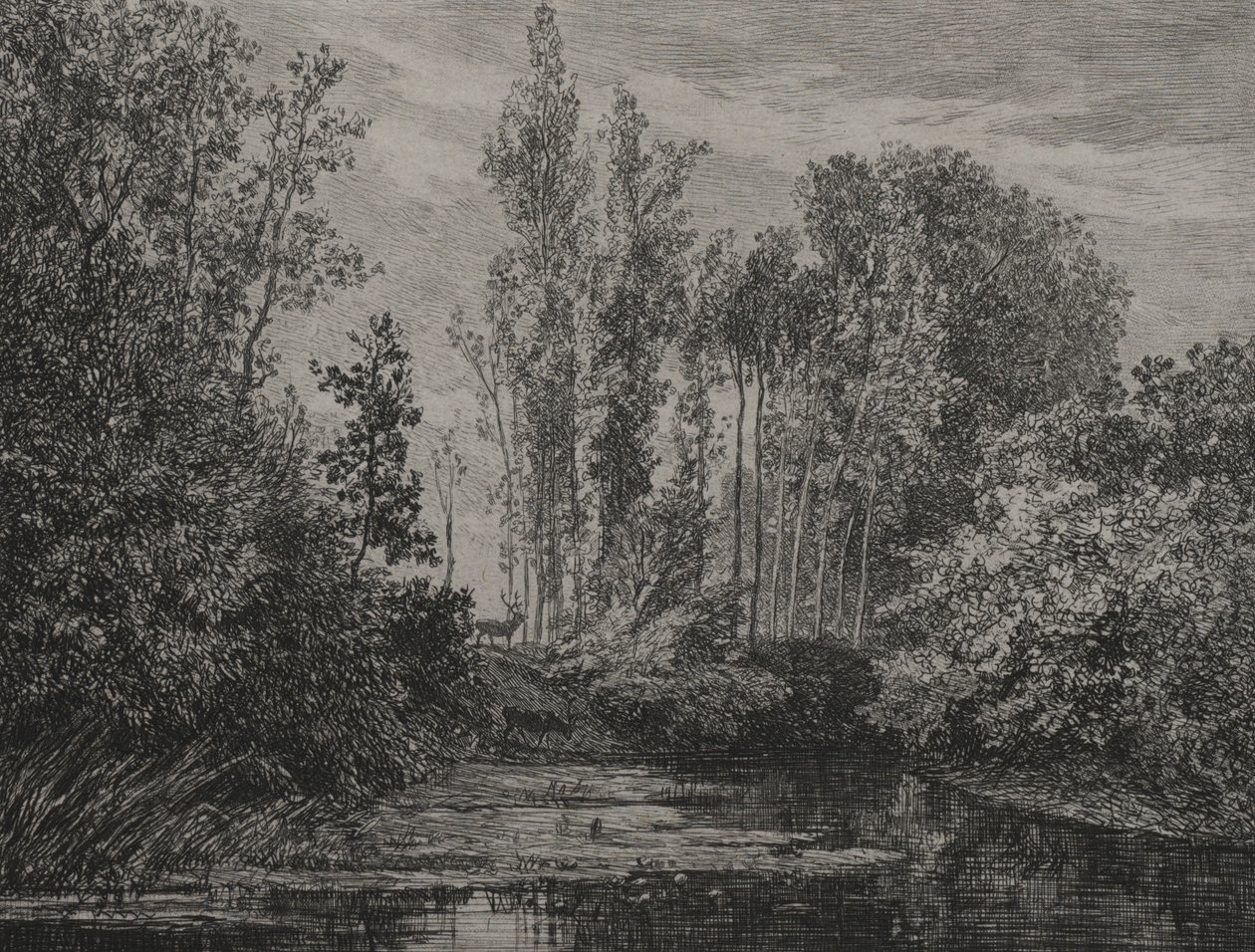 Hjorter ved vannkanten, 1850. av Charles Francois Daubigny