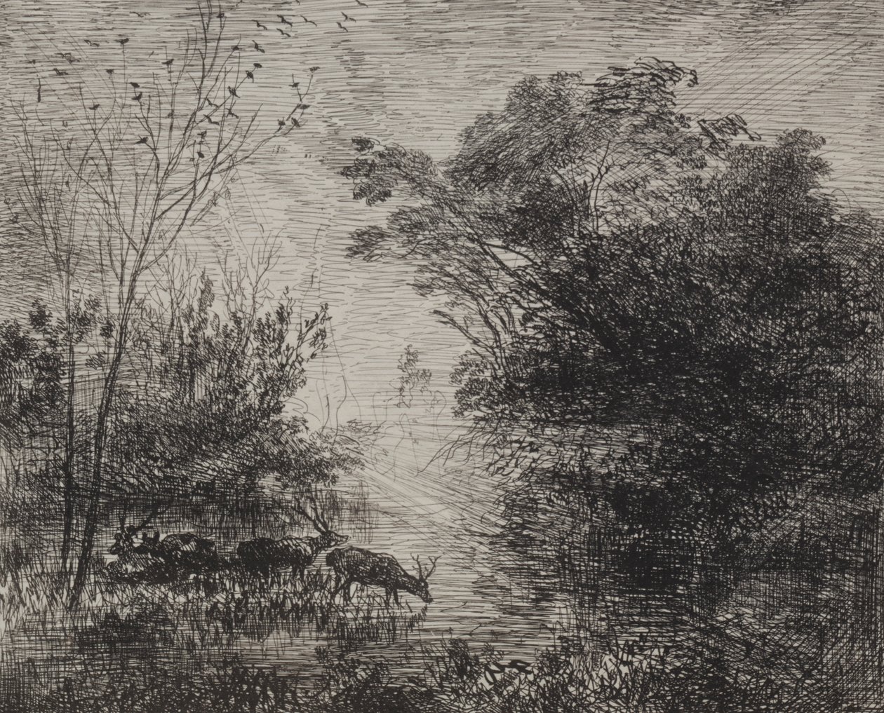 Stags, originalt inntrykk 1862, trykt i 1921. av Charles Francois Daubigny