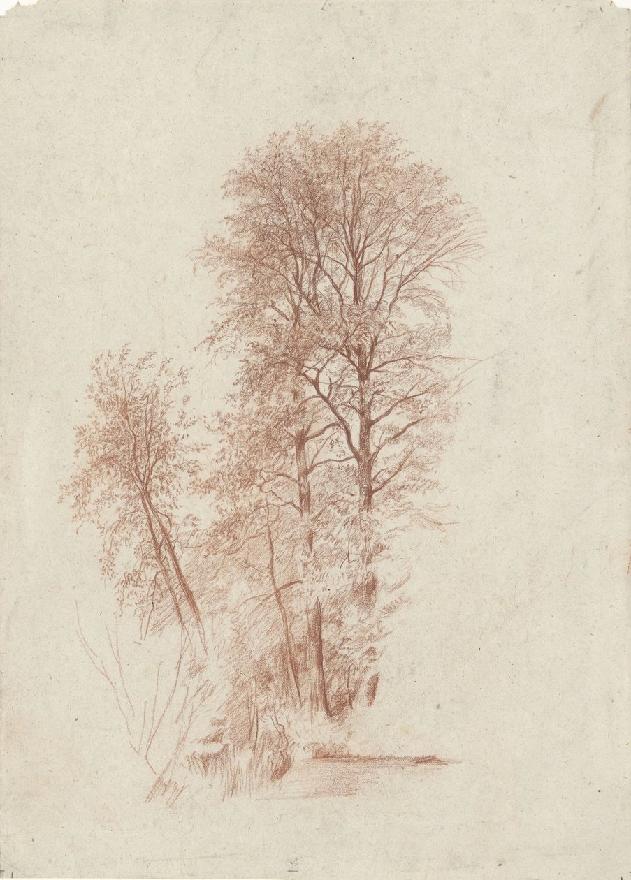 Studie av to slanke og kun mindre trær i blad av Charles Francois Daubigny