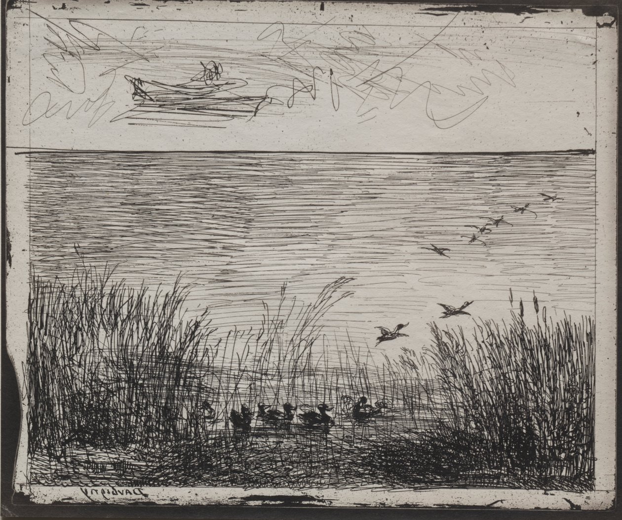 Sump med ender av Charles Francois Daubigny