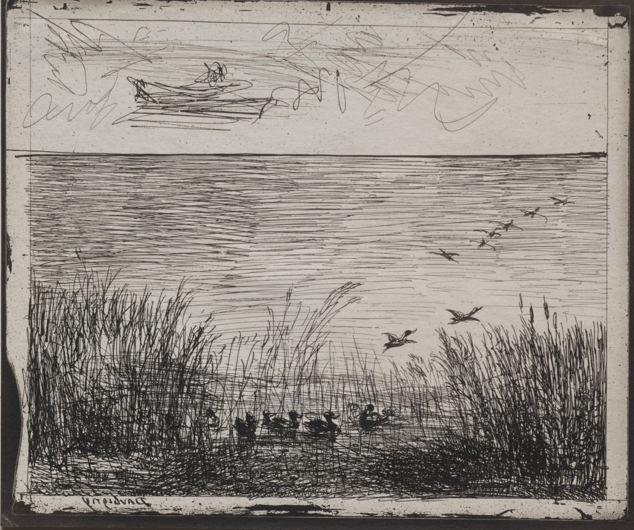 Sump med ender, originalt inntrykk 1862, trykt i 1921. av Charles Francois Daubigny
