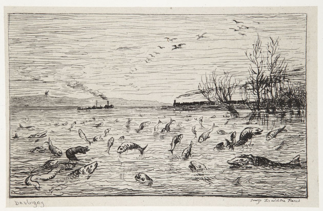 Fiskene gleder seg over at kahyttgutten drar av Charles Francois Daubigny