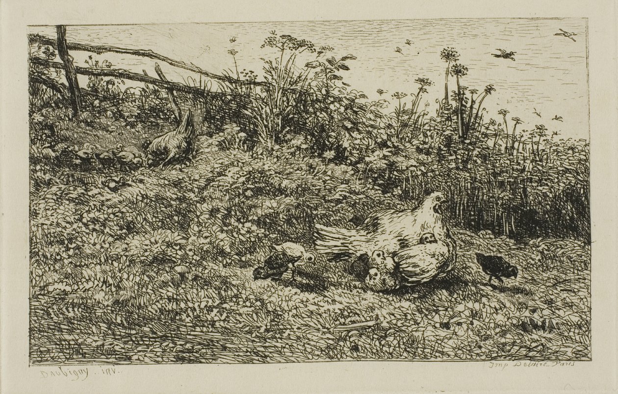 Høna og kyllingene hennes av Charles Francois Daubigny