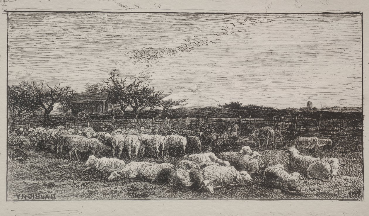 Den store sauefolden av Charles Francois Daubigny
