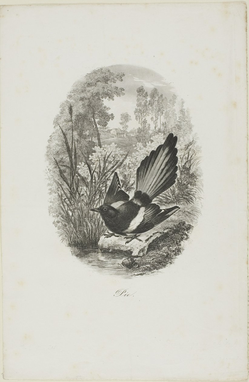  av Charles Francois Daubigny