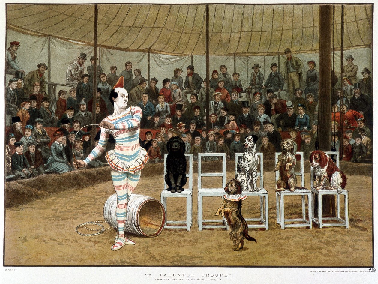 De lærde hundene: sirkusscene med klovn og hunder - etter Charles Green, engelsk chromo 1885. ¿De lærde hundene: sirkusscene med klovn og hunder - etter Charles Green, engelsk chromo 1885. ¿ av Charles Green