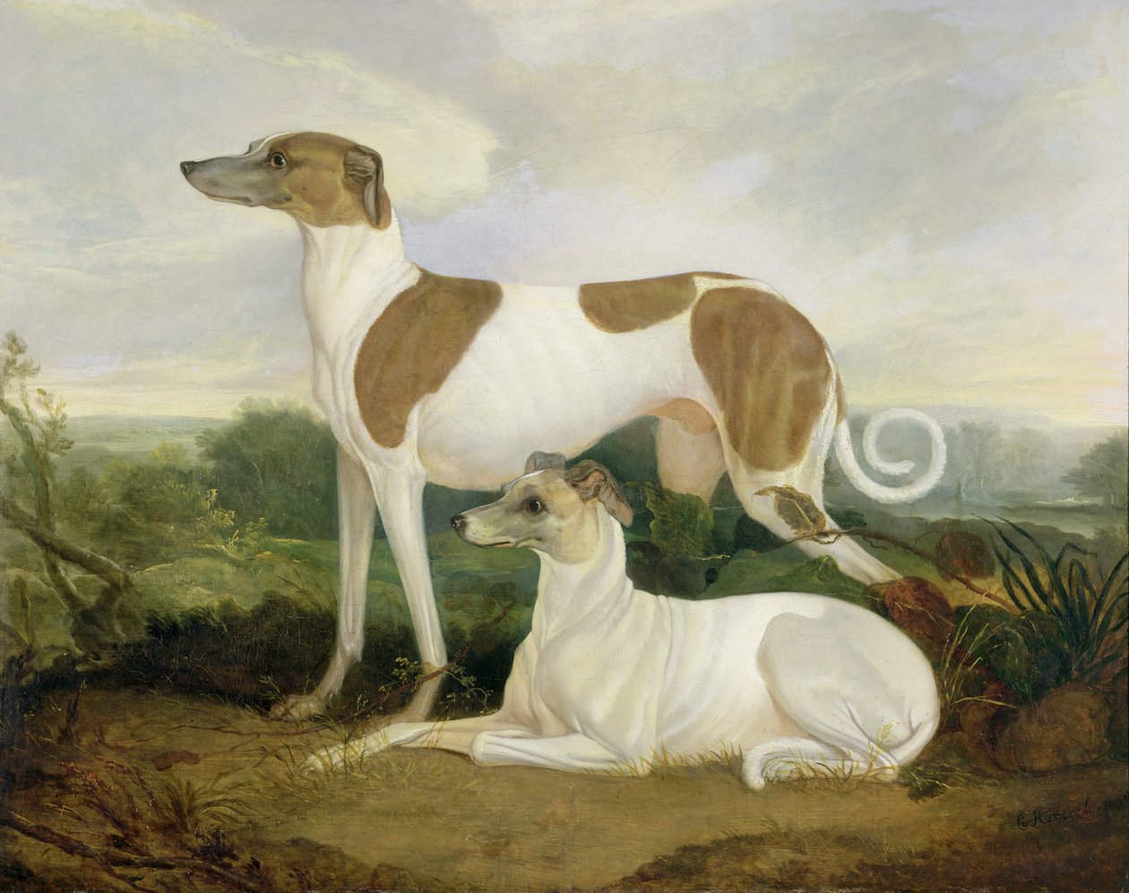 To greyhounds i et landskap av Charles Hancock