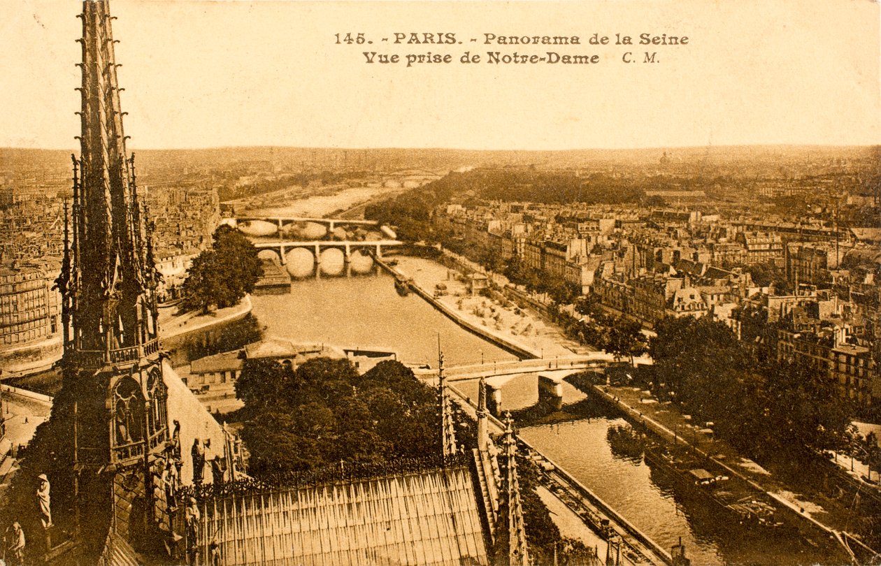 Postkort / Seine fra Notre Dame / Paris / Seine / Ile de France / Frankrike av Augustus Kollner