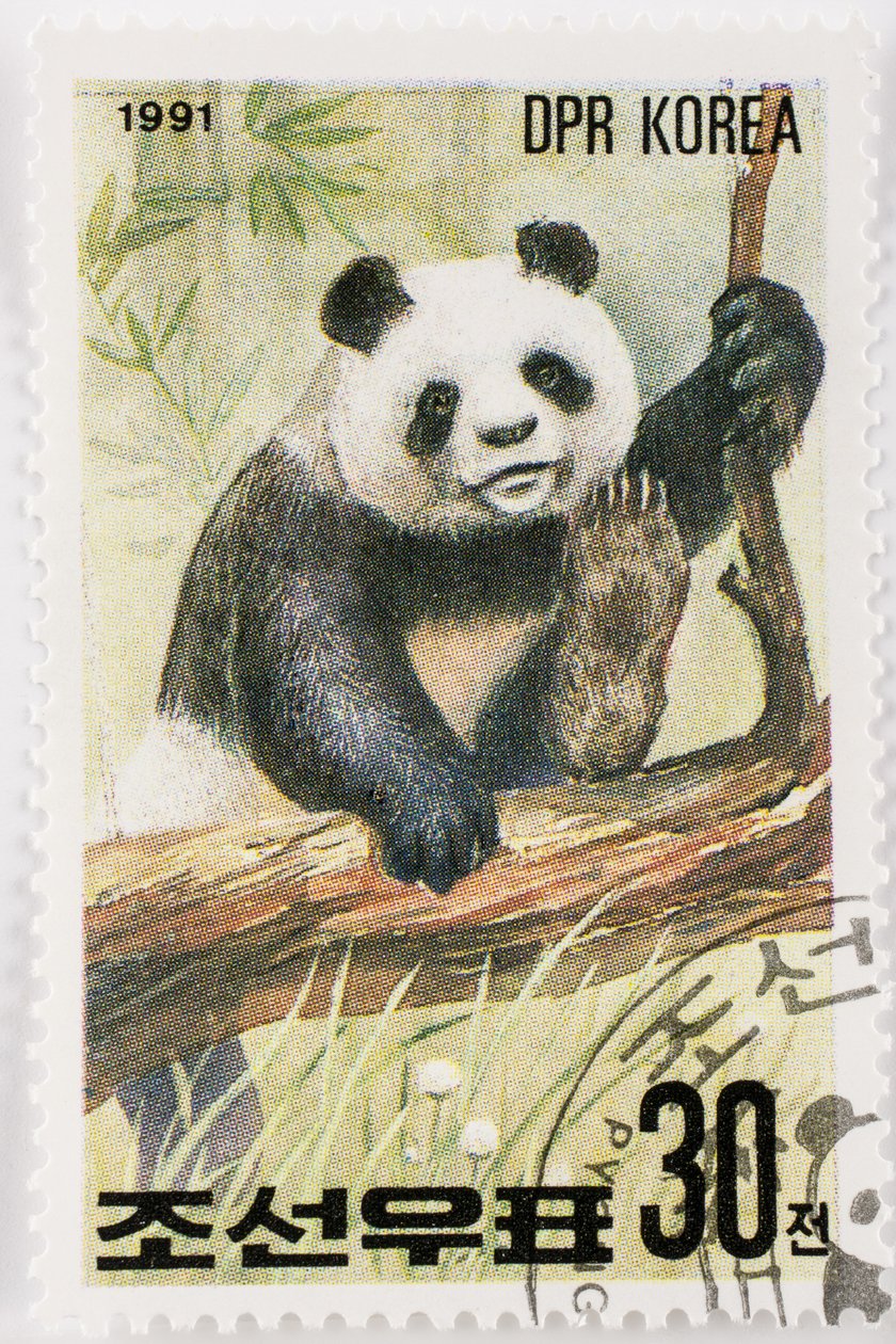 Frimerke/Nord-Korea/Ailuropoda melanoleuca/Grand panda/Giant Panda av Augustus Kollner