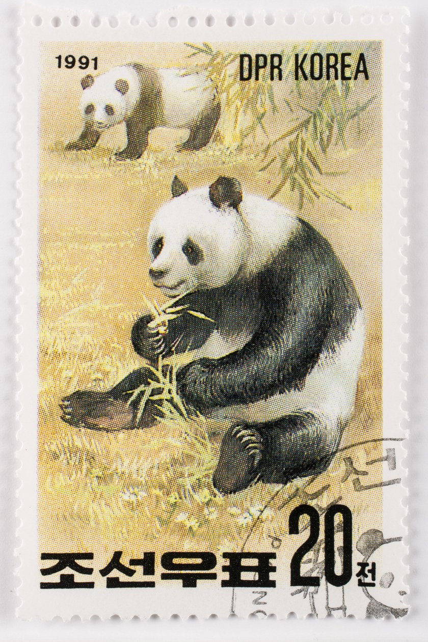 Frimerke/Nord-Korea/Ailuropoda melanoleuca/Grand panda/Giant Panda av Augustus Kollner
