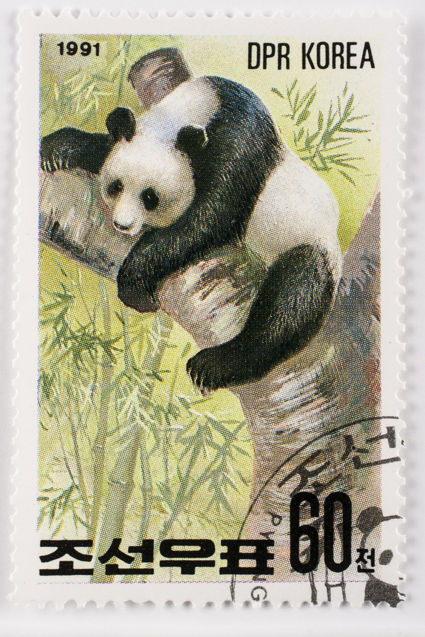 Frimerke/Nord-Korea/Ailuropoda melanoleuca/Grand panda/Giant Panda av Augustus Kollner