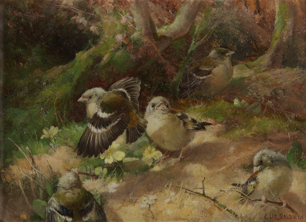 I Happy Woodland av Charles Henry Clifford Baldwyn