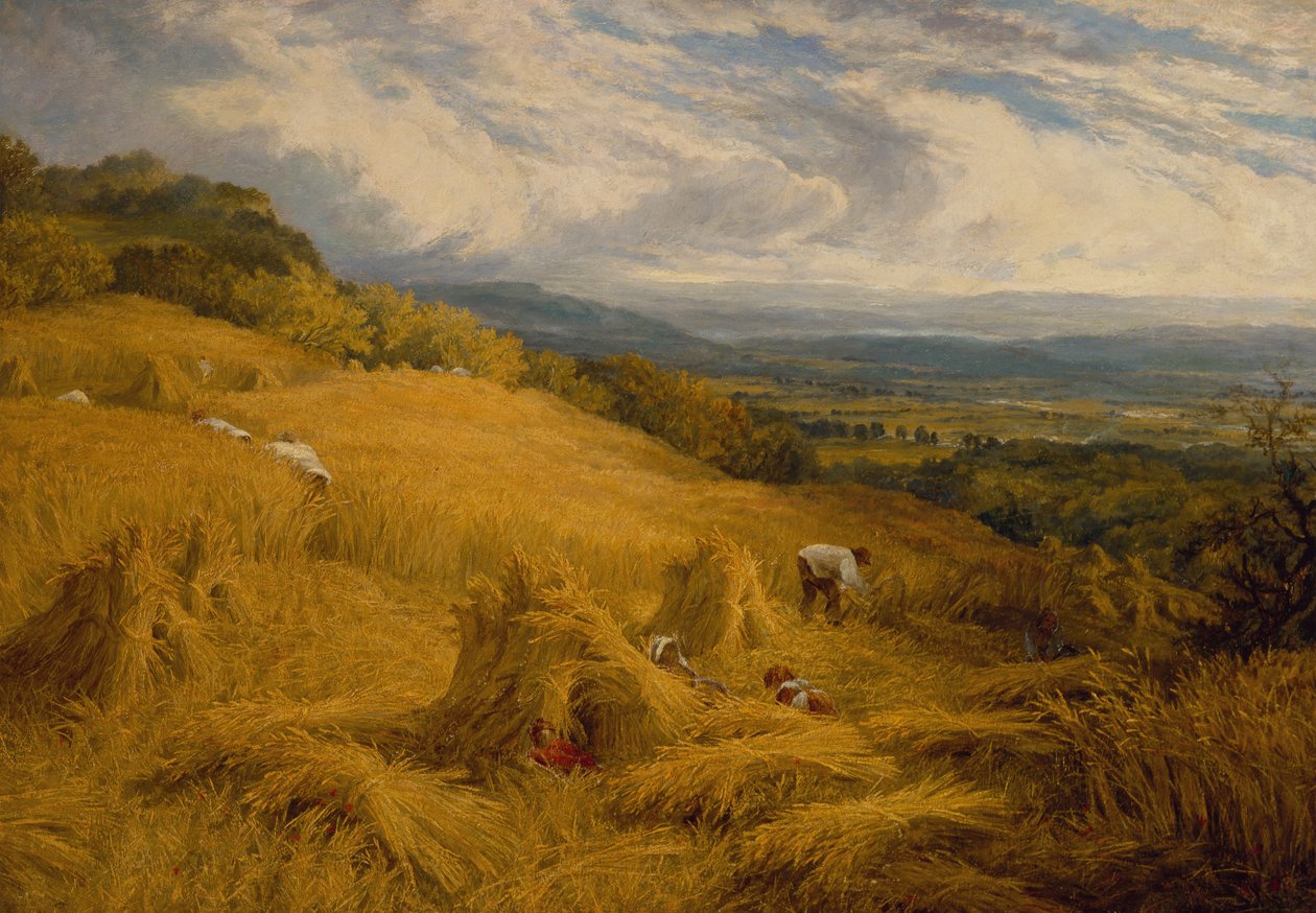 The Harvest (olje på lerret) av Charles Henry Passey