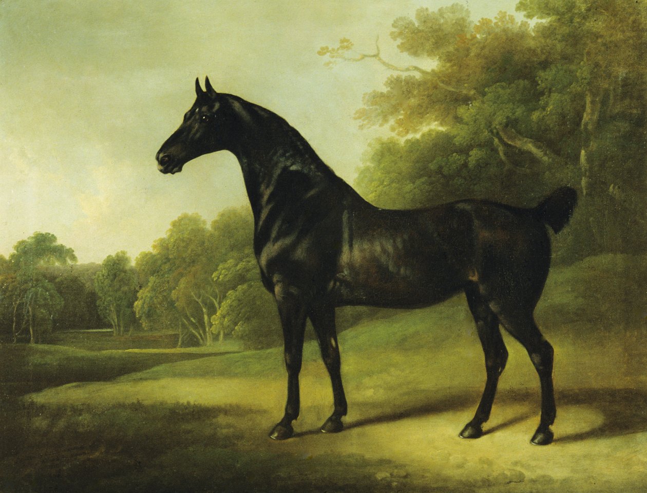 En bukthest i et skogslandskap av Charles Henry Schwanfelder