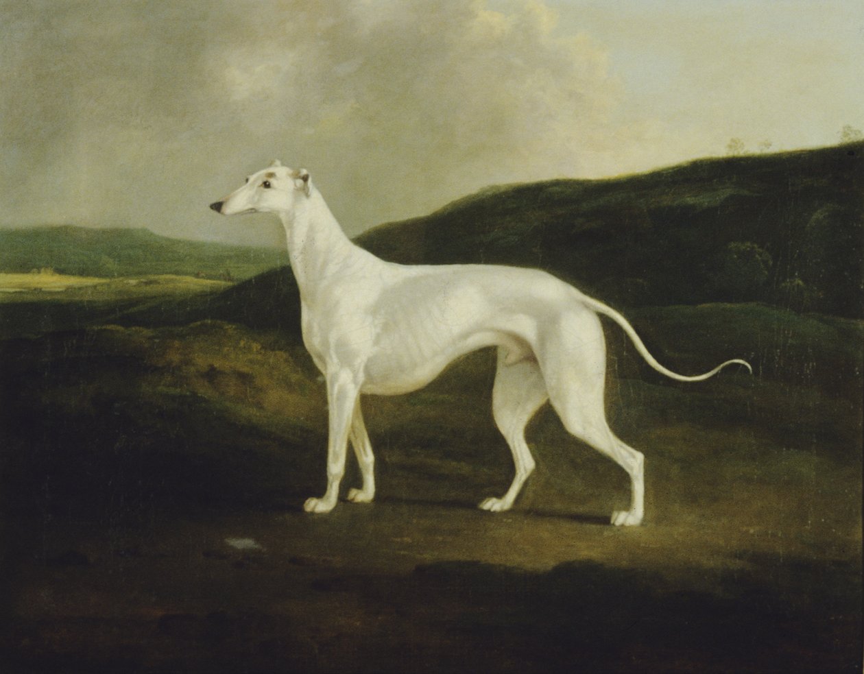 En greyhound i et landskap av Charles Henry Schwanfelder