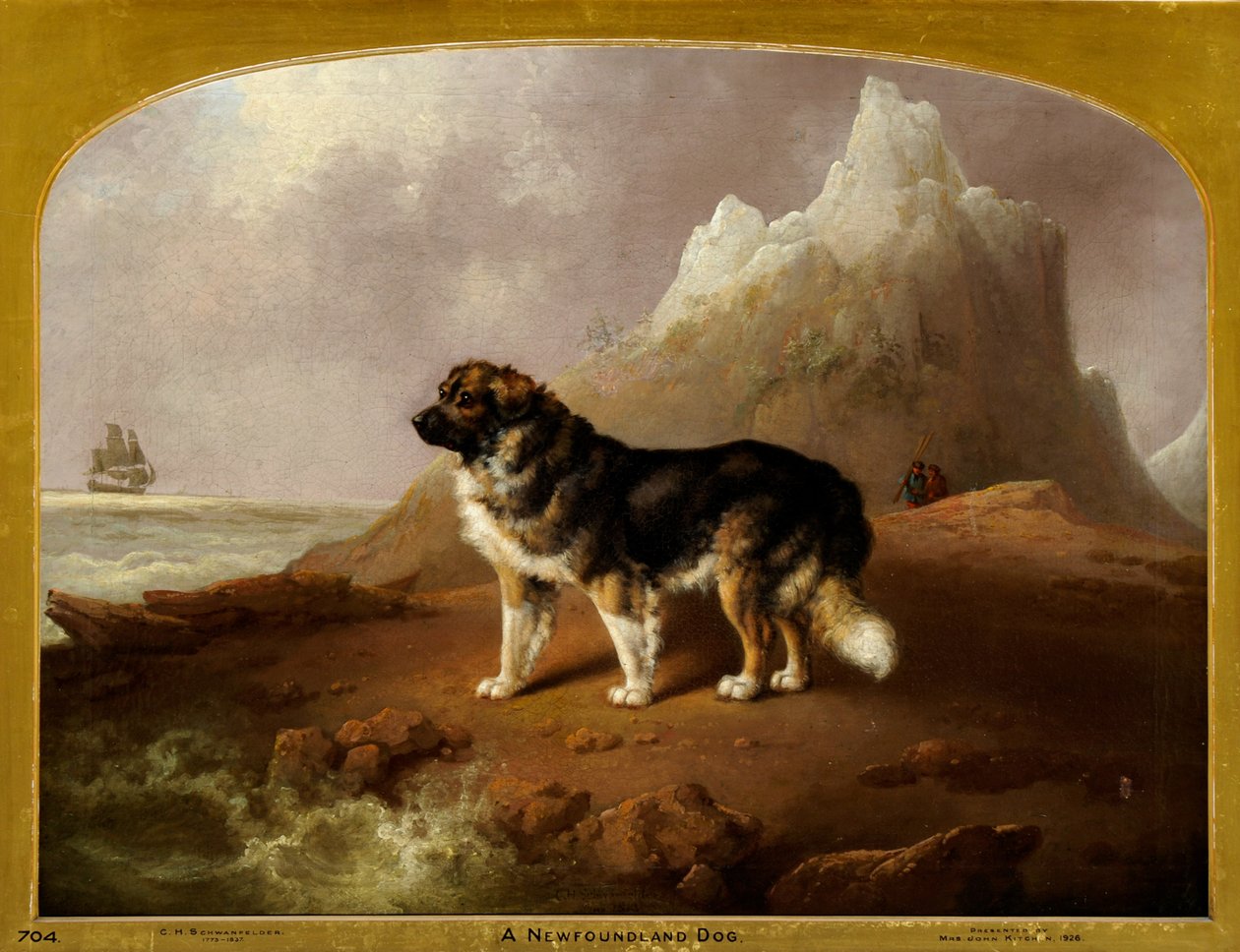 En Newfoundland-hund av Charles Henry Schwanfelder