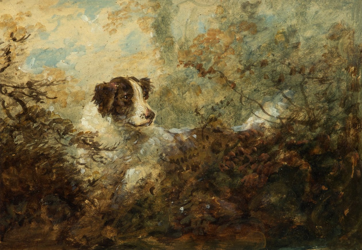 Hund (olje om bord) av Charles Henry Schwanfelder