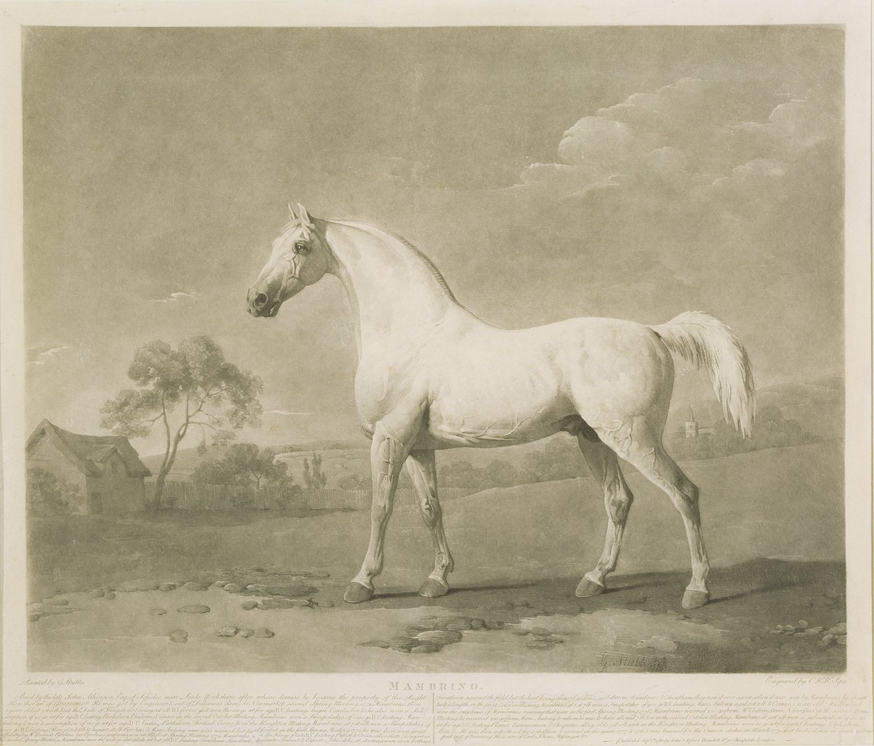 Mambrino, etter George Stubbs, 1788 (mezzotint) av Charles Howard Hodges