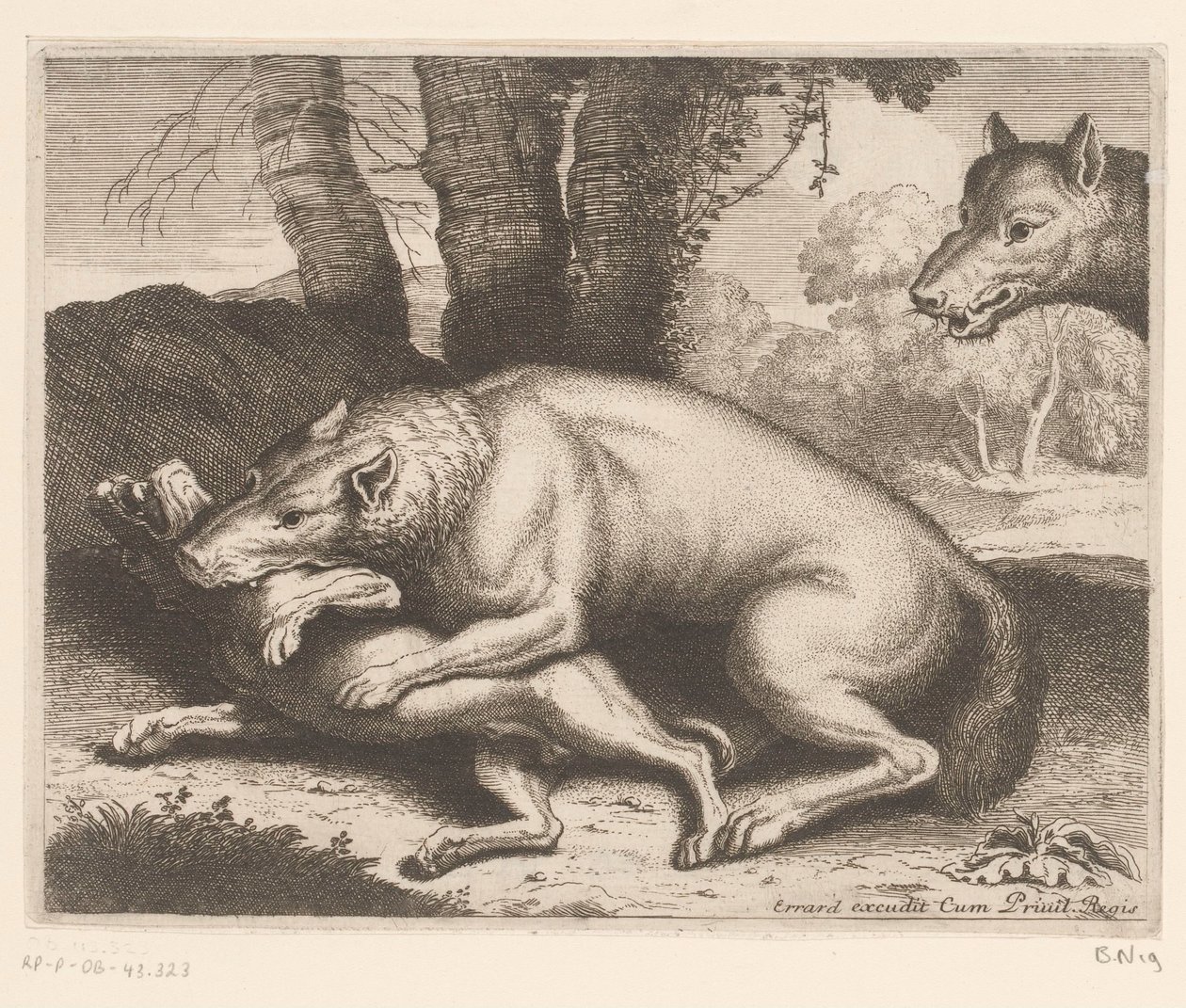 Hund angrepet av en ulv Dyreserie (serietittel) av Charles II Errard (attributed to)