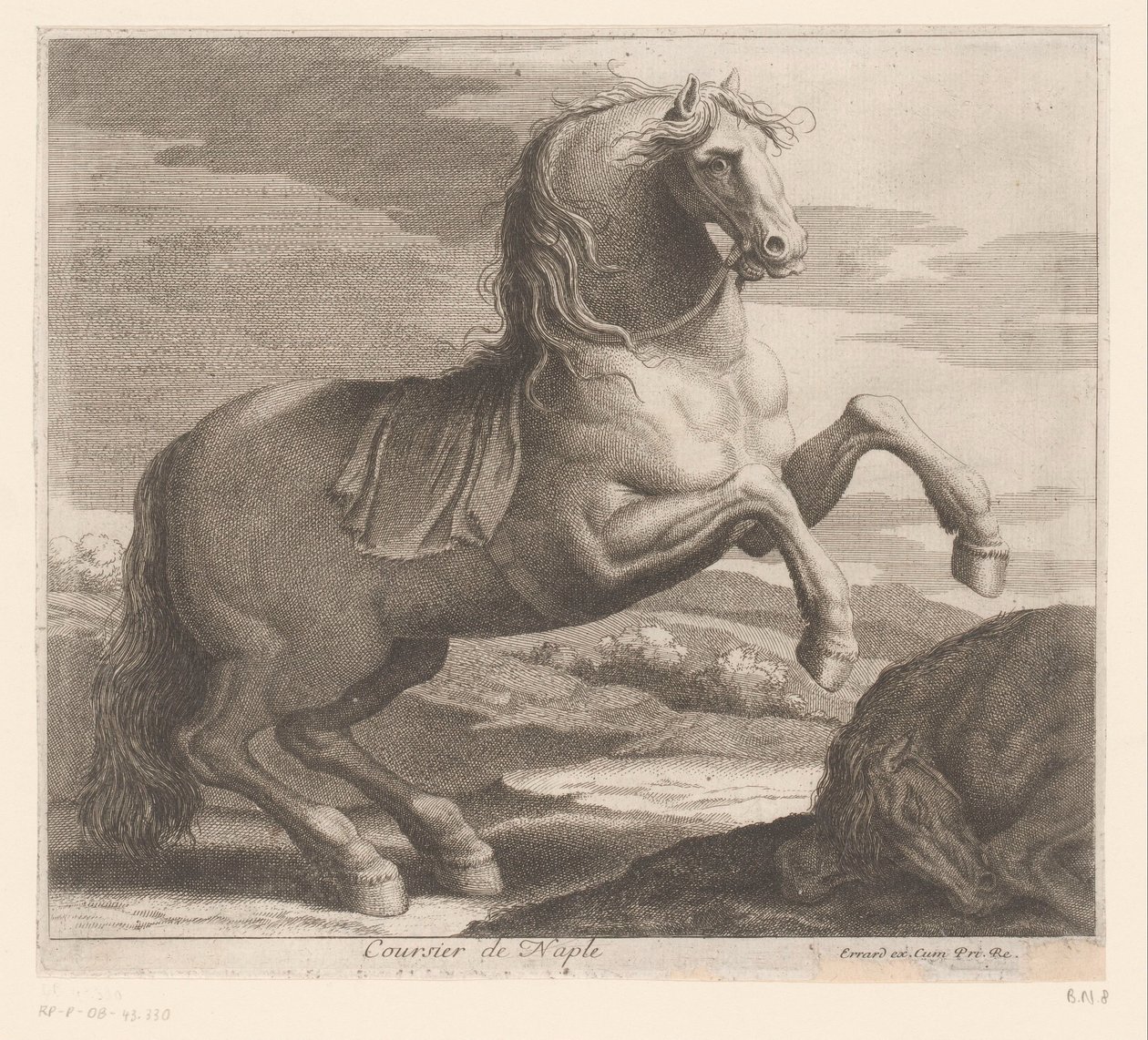oppdrande hest Coursier de Naples (tittel på objekt) Dyreserie (serietittel) av Charles II Errard (attributed to)