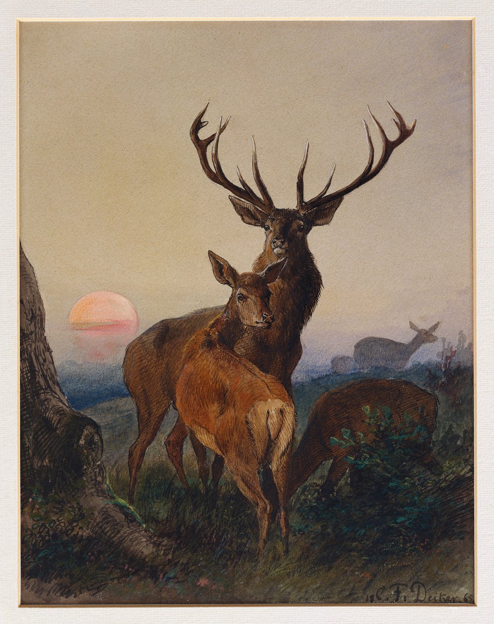 En hjort med hjort i et skogslandskap ved solnedgang, 1865 av Charles Jones