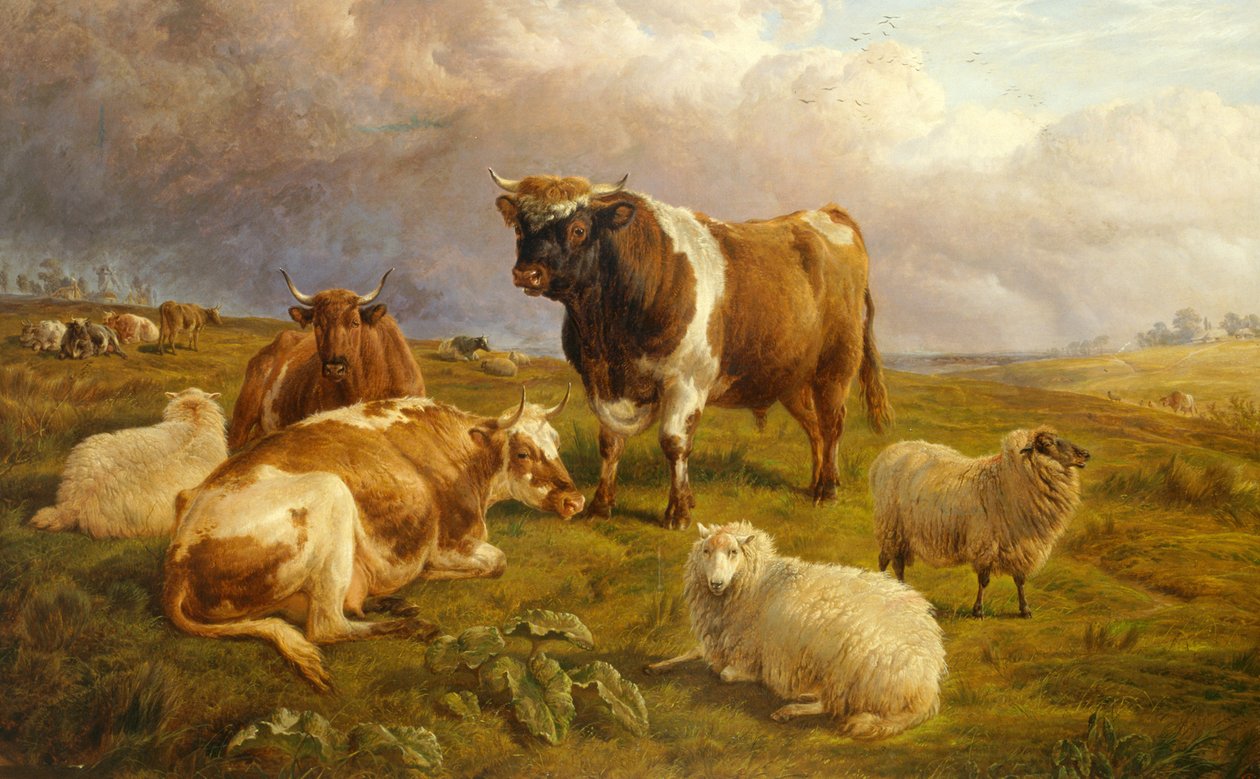  av Charles Jones