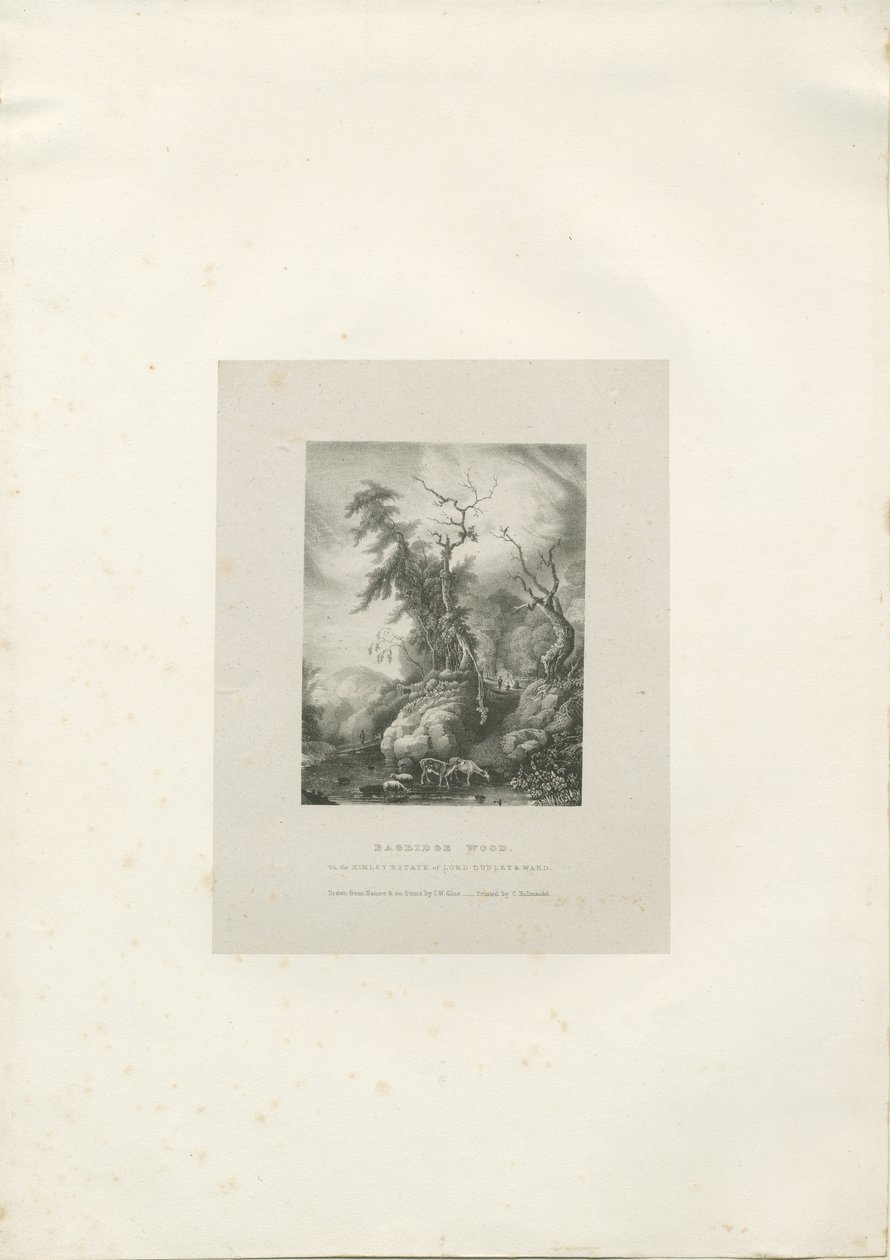 Himley Estate - 'Bagridge Wood': litografi, nd [1789-1850] (trykk) av Charles Joseph Hullmandel