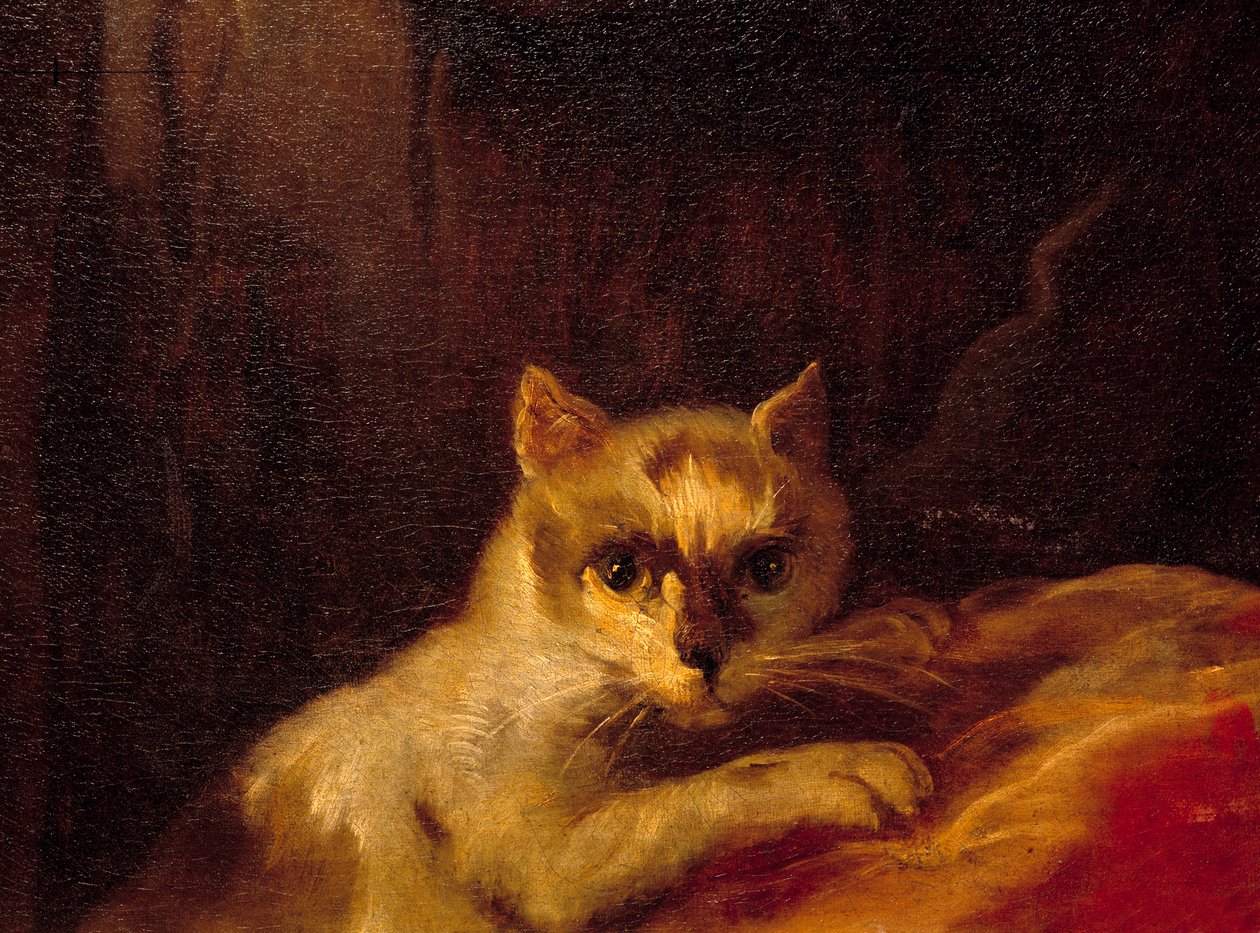 Mademoiselle de Charolais Detalj som representerer katten. Maleri av Charles Joseph Natoire (Charles-Joseph Natoire av Charles Joseph Natoire