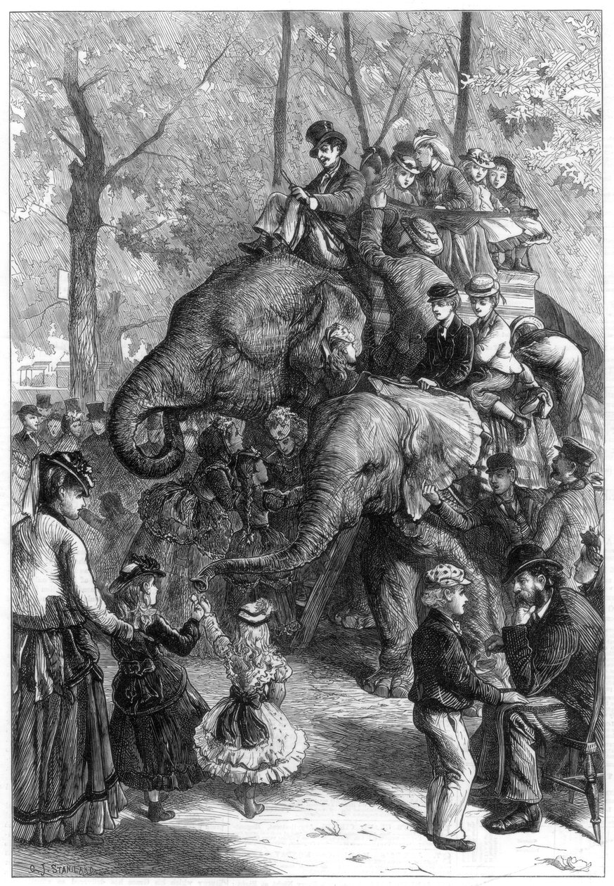 Mandag ettermiddag i zoologiske foreningens hager, 1871. av Charles Joseph Staniland