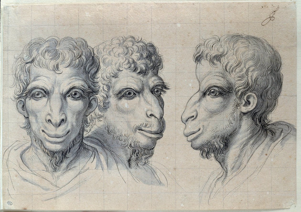 Studier av tre menns hoder som minner om kamelens fysionomi Tegning av Charles Lebrun (Le Brun) (1619-1690) 1600-tallet. Dim. 0,22x0,32 m. Paris, Louvre-museet av Charles Le Brun