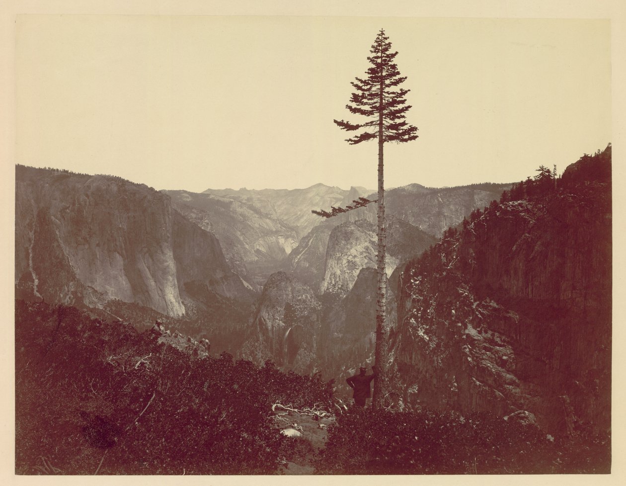 Yosemite Valley fra Mariposa Trail, ca. 1865. av Charles Leander Weed