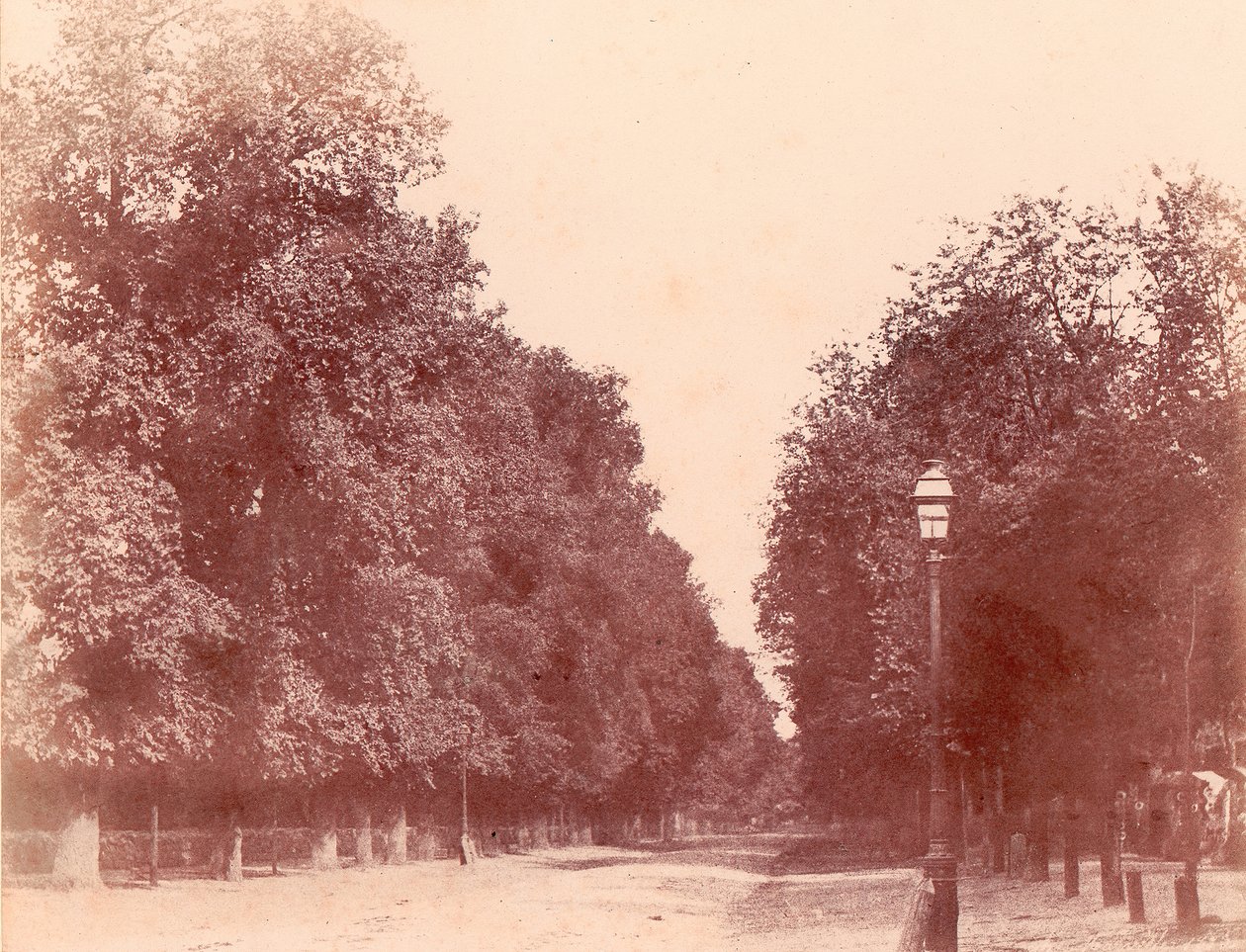 Trekantet innkjørsel, 1850-53. av Charles Marville