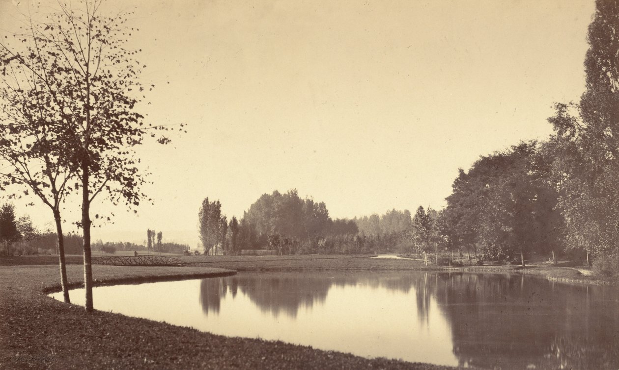 Bois de Boulogne av Charles Marville