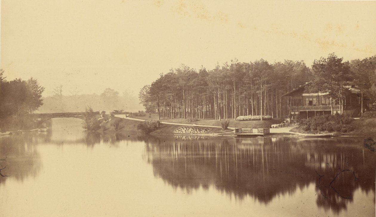 [Bois de Boulogne, Paris] av Charles Marville
