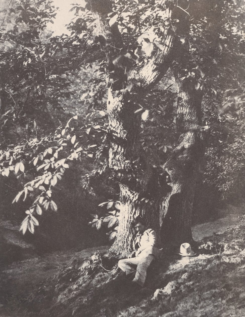 Mann liggende ved foten av et kastanjetre, 1850-53. av Charles Marville