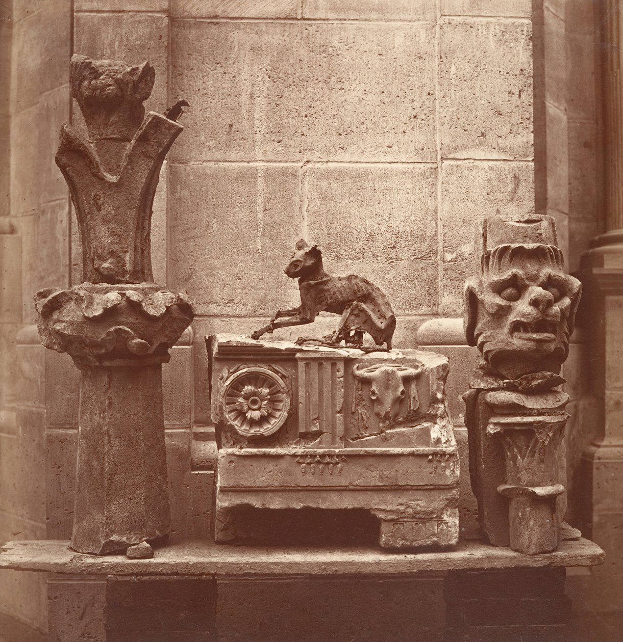 Den mumifiserte katten funnet i utgravningene i Saint-Germain-en-Laye, ca. 1862. av Charles Marville