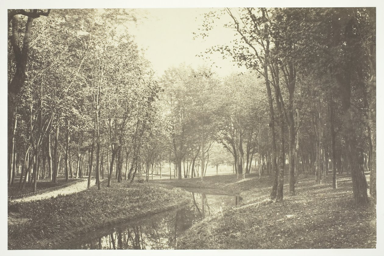 Uten tittel, c. 1850. [Trær nær vann i Bois de Boulogne, en park i Paris]. av Charles Marville