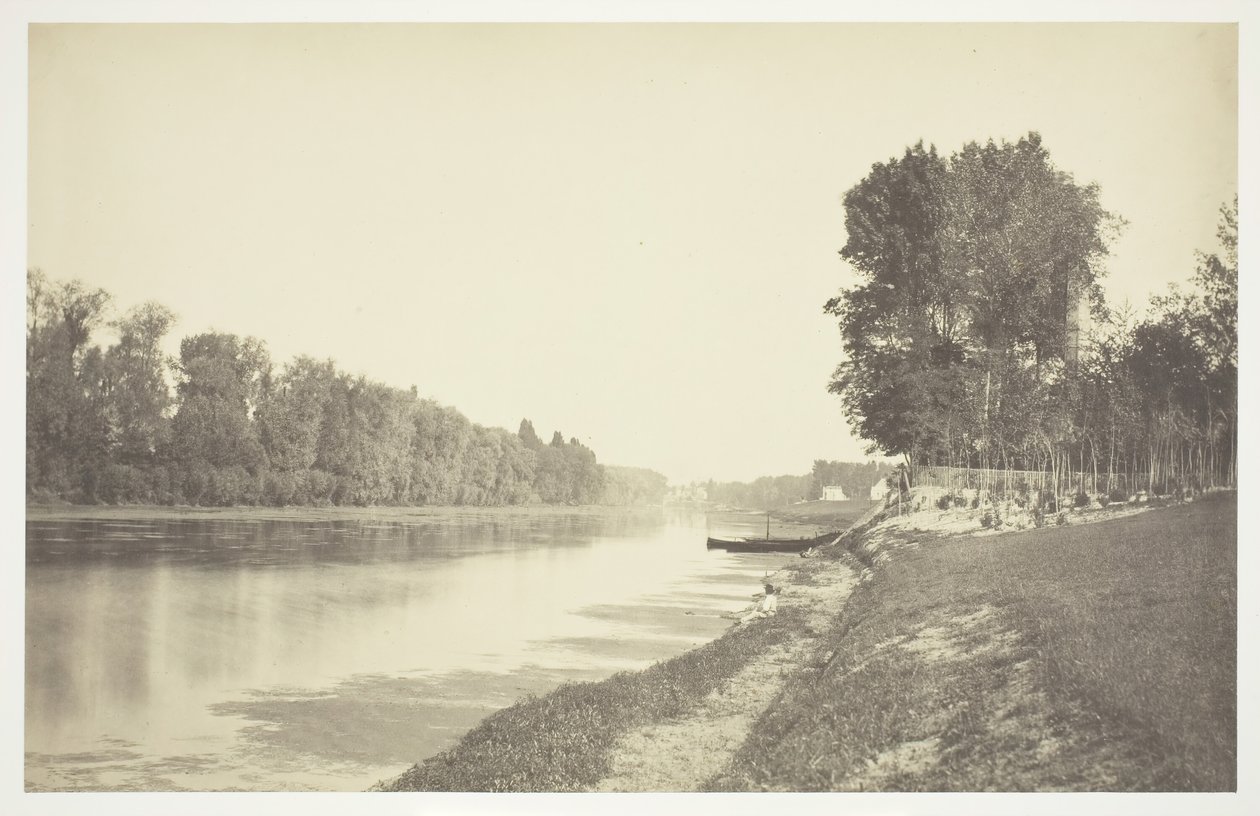 Uten tittel, c. 1850. [Trær nær vann i Bois de Boulogne, en park i Paris]. av Charles Marville