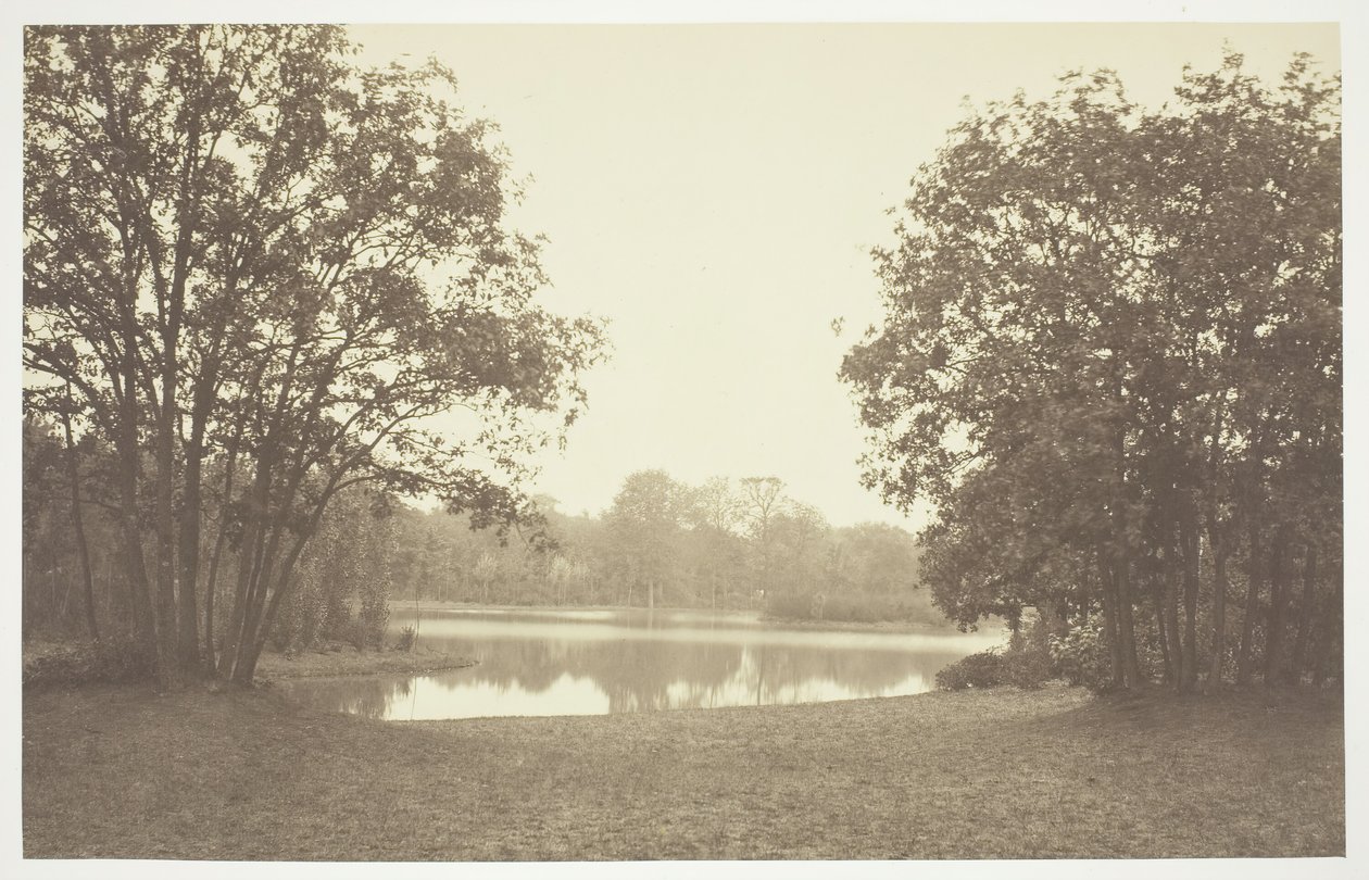 Uten tittel, c. 1850. [Trær nær vann i Bois de Boulogne, en park i Paris]. av Charles Marville