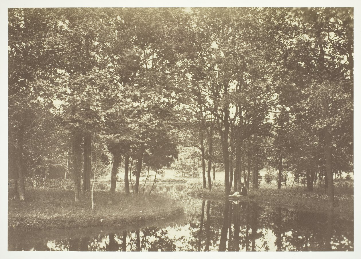 Uten tittel, c. 1850. [Trær nær vann i Bois de Boulogne, en park i Paris]. av Charles Marville