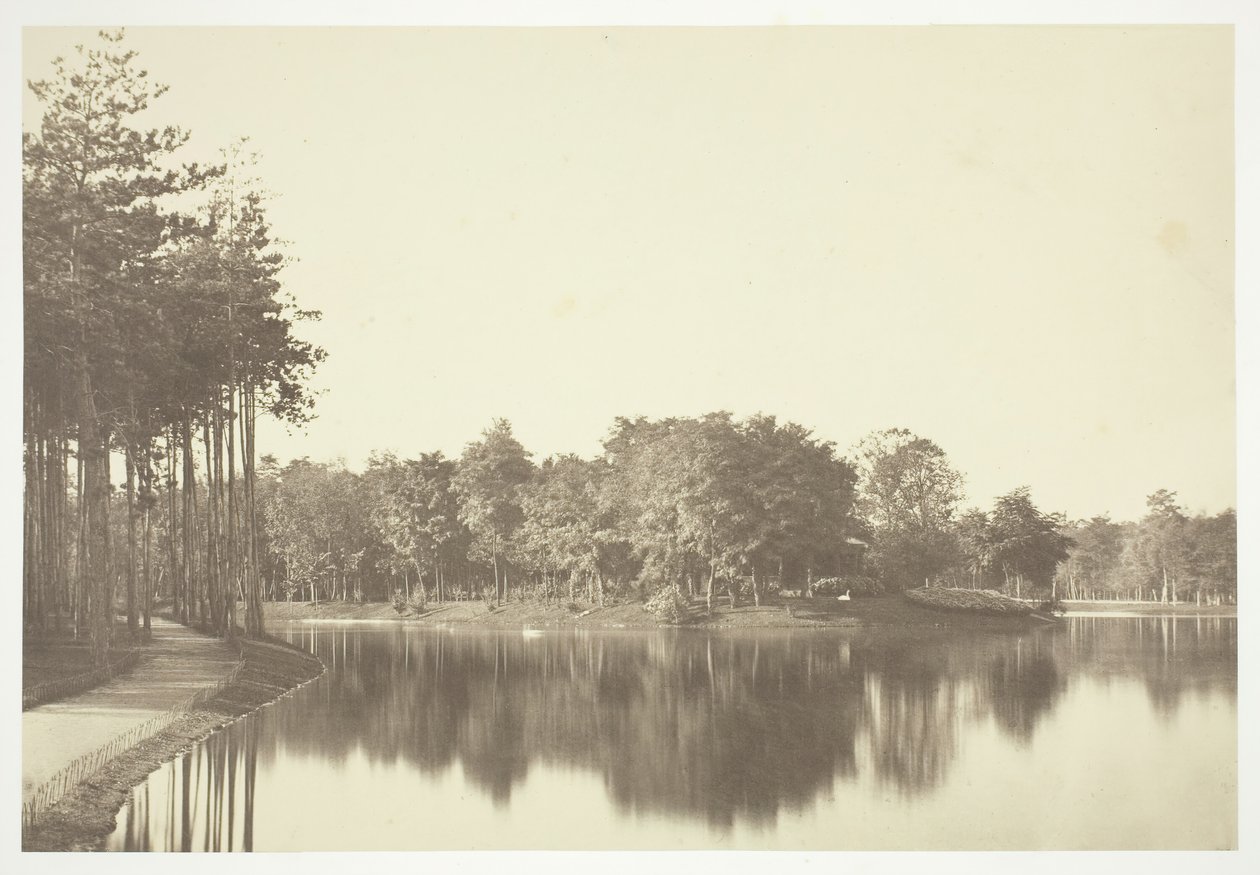 Uten tittel, c. 1850. [Trær nær vann i Bois de Boulogne, en park i Paris]. av Charles Marville