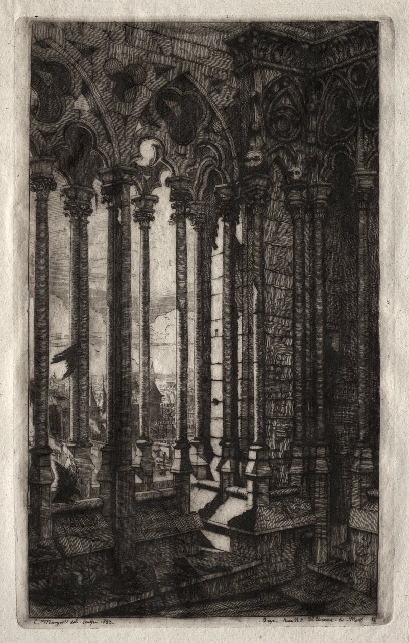 Etchings of Paris: The Gallery of Notre Dame, 1853. av Charles Meryon