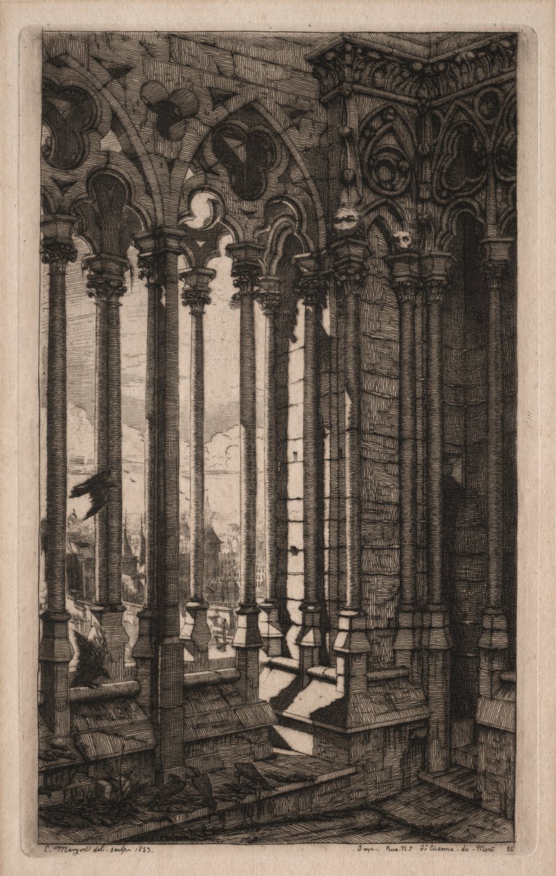 Etchings of Paris: The Gallery of Notre Dame, 1853. av Charles Meryon